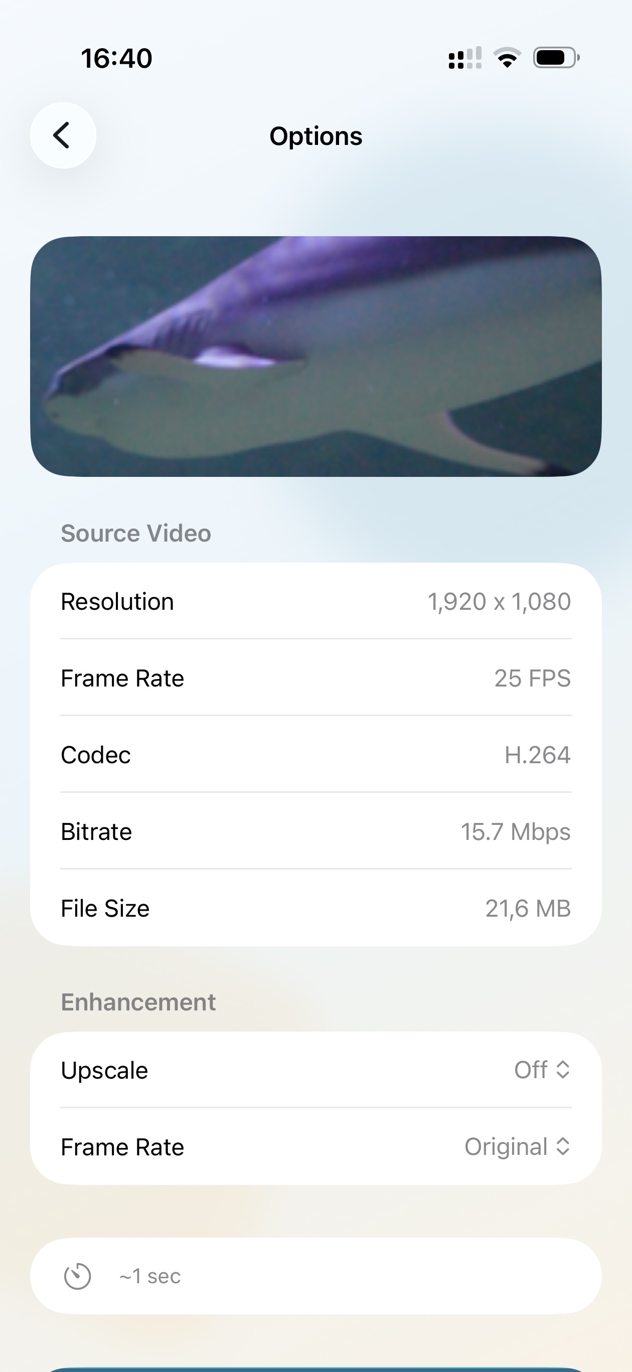 Video source details in Smoothie